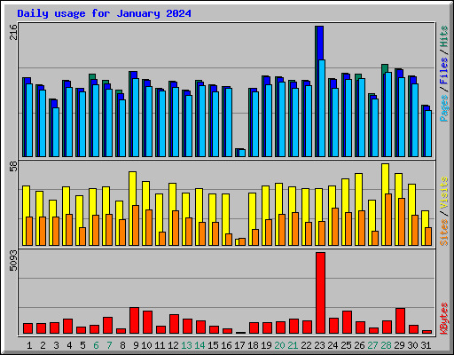 Daily usage for January 2024