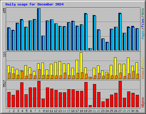 Daily usage for December 2024
