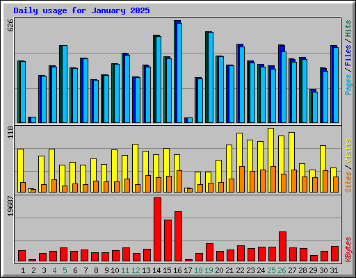 Daily usage for January 2025