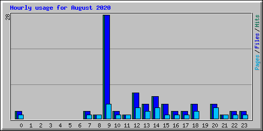 Hourly usage for August 2020