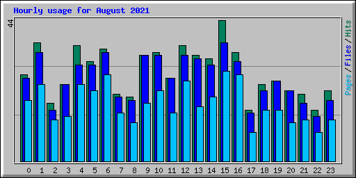 Hourly usage for August 2021