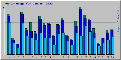 Hourly usage for January 2022