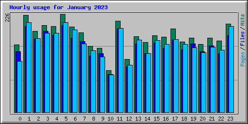 Hourly usage for January 2023