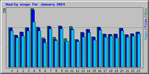 Hourly usage for January 2024