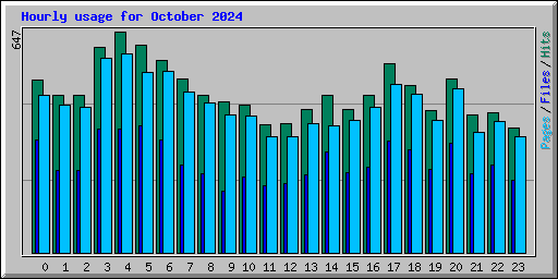 Hourly usage for October 2024