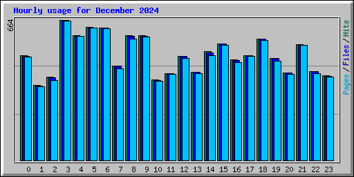 Hourly usage for December 2024