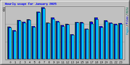 Hourly usage for January 2025