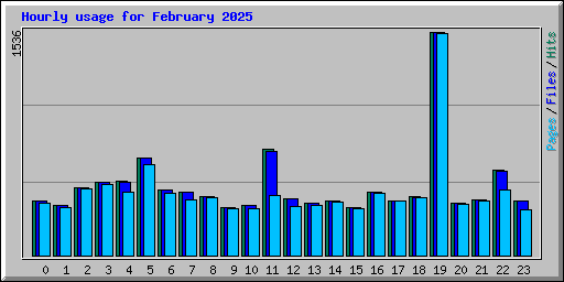 Hourly usage for February 2025