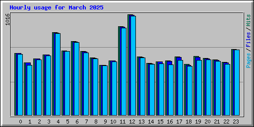 Hourly usage for March 2025