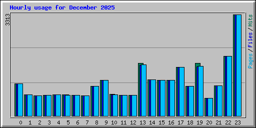 Hourly usage for December 2025